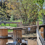 Photo n°1 de l'avis de Jana.� fait le 27/05/2022 à 21:20 sur le  fisch-hofladen.de - cress Park Erfurt à Erfurt