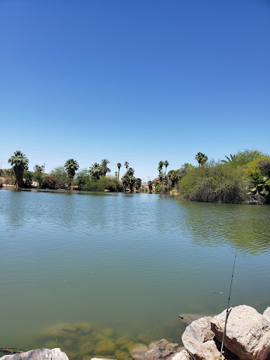 Park «Evelyn Hallman Park», reviews and photos, 1900 N College Ave, Tempe, AZ 85281, USA