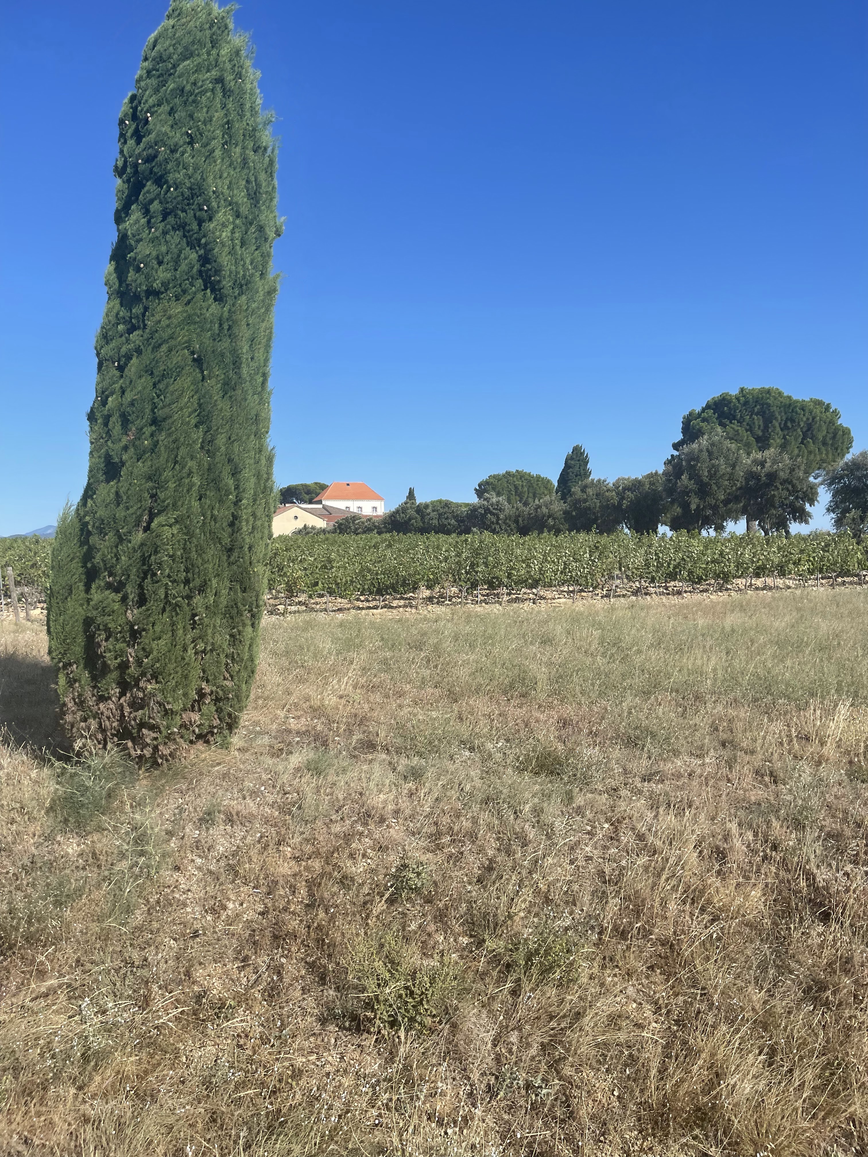 Photo n° 2 de l'avis de CamperOnTube. fait le 19/08/2023 à 17:52