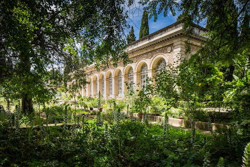 attractions Jardin des Plantes de Montpellier Montpellier