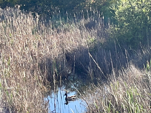 Self-Storage Facility «Heirloom Storage», reviews and photos, 12 Harbor Dr, Novato, CA 94945, USA