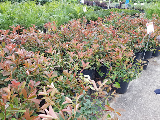 Houston Garden Centers