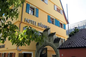 Hotel Bäumle image