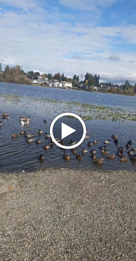 Park «Ferguson Park», reviews and photos, 1330 Ferguson Park Rd, Snohomish, WA 98290, USA