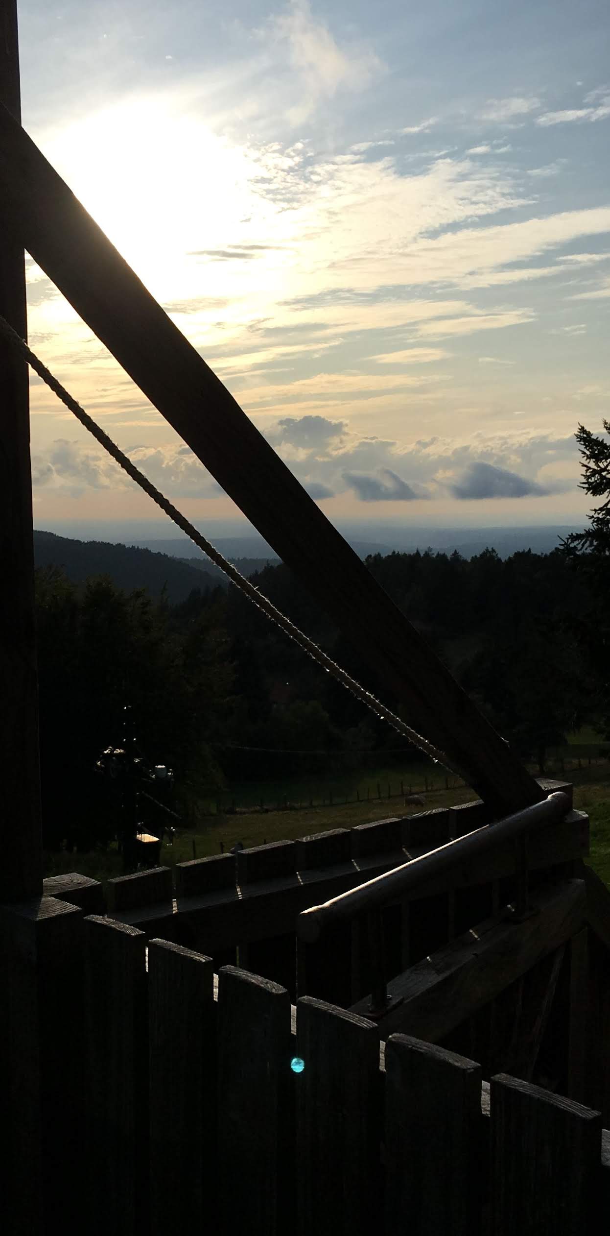 Photo n° 9 de l'avis de Olivier.i fait le 20/08/2019 à 19:23