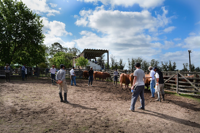 Horarios de Sociedad Agropecuaria de Rocha