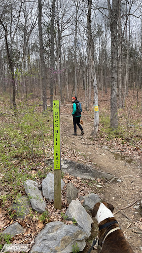 Buck Hill Trail