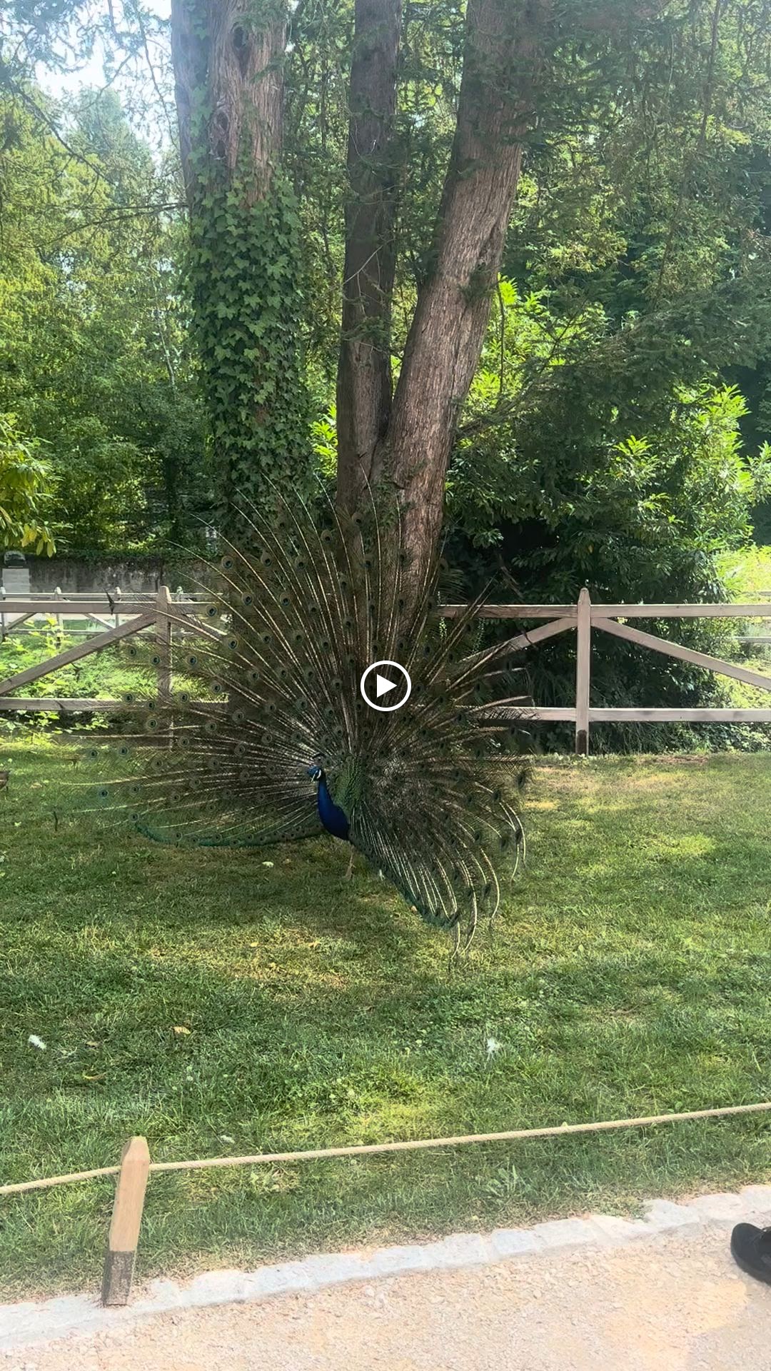 Photo n° 6 de l'avis de Natalie.u fait le 11/07/2023 à 14:16