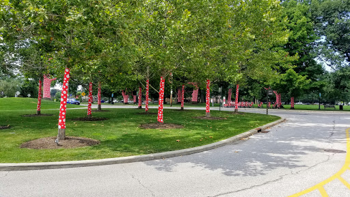 Art Museum «The Cleveland Museum of Art», reviews and photos, 11150 East Blvd, Cleveland, OH 44106, USA