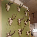 Photo n°12 de l'avis de Dmytro.. fait le 07/11/2018 à 19:16 sur le  Hotel Arnika à Oberammergau