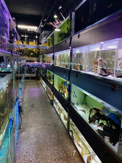 三和水族Sanhe Aquarium Pet House