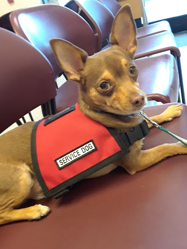 Golf Club «Coyote Lakes Golf Club», reviews and photos, 18800 N Coyote Lakes Pkwy, Surprise, AZ 85374, USA