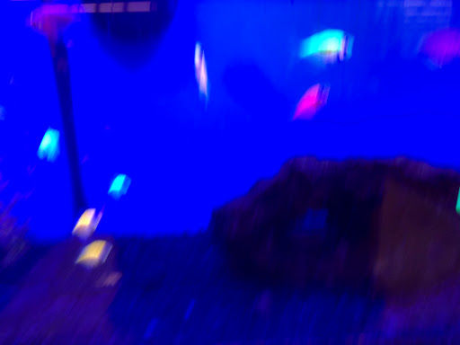 Pet Supply Store «Petco Animal Supplies», reviews and photos, 3637 2700 W, West Valley City, UT 84119, USA