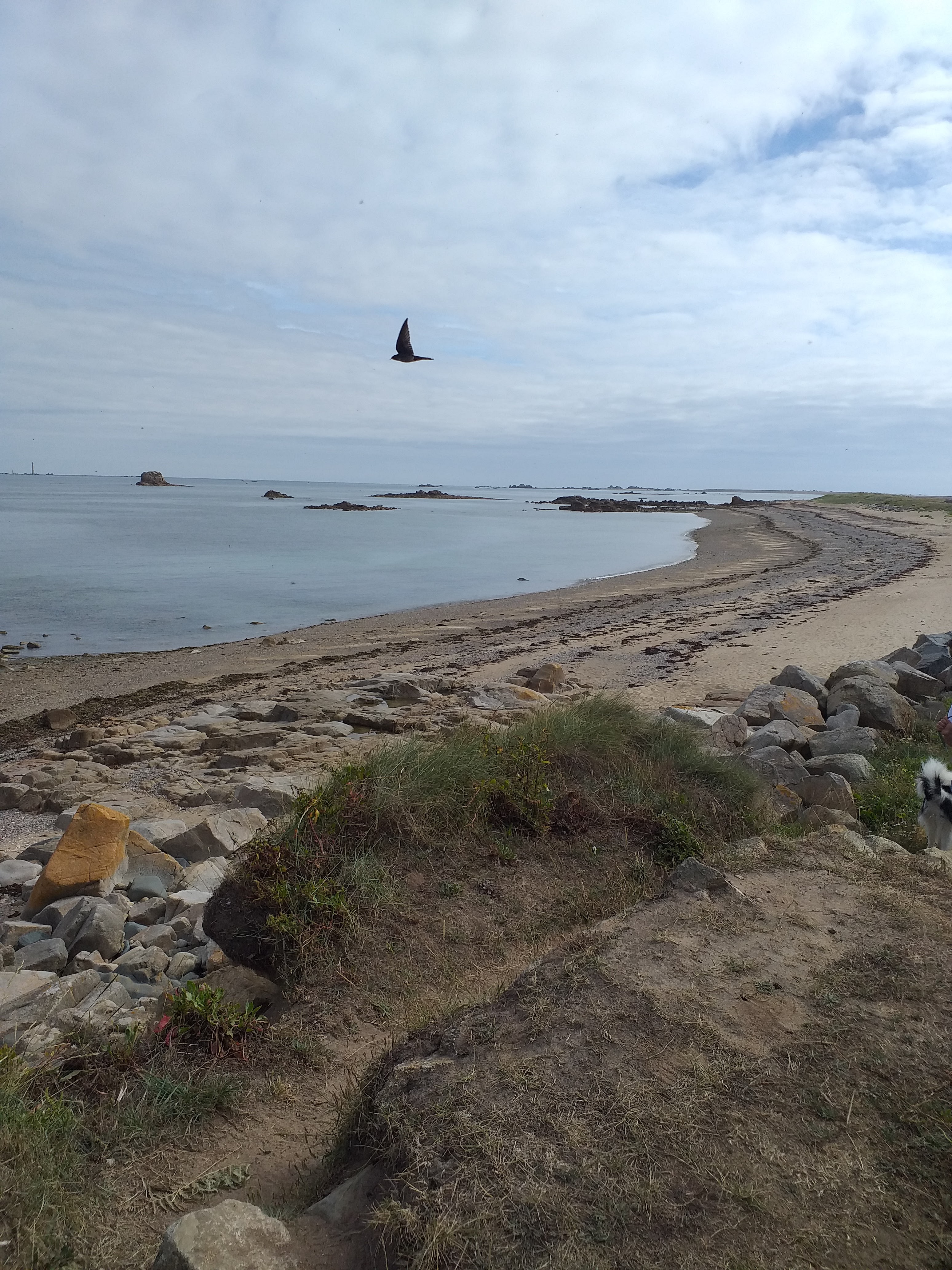 Photo n° 1 de l'avis de Caro.A fait le 09/08/2023 à 16:11