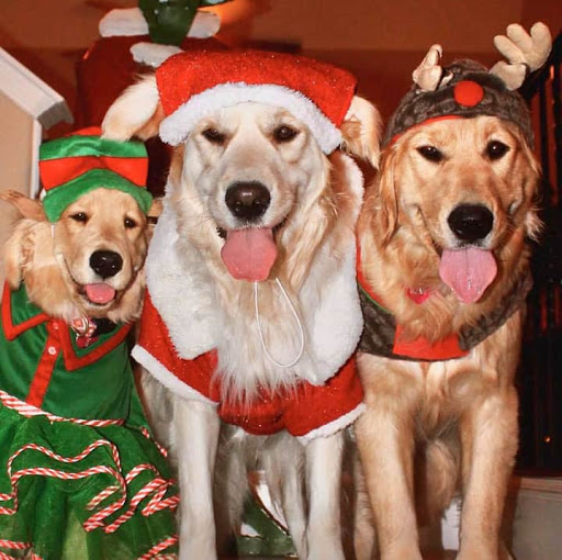 Grocery Store «Safeway», reviews and photos, 4990 River Rd N, Keizer, OR 97303, USA