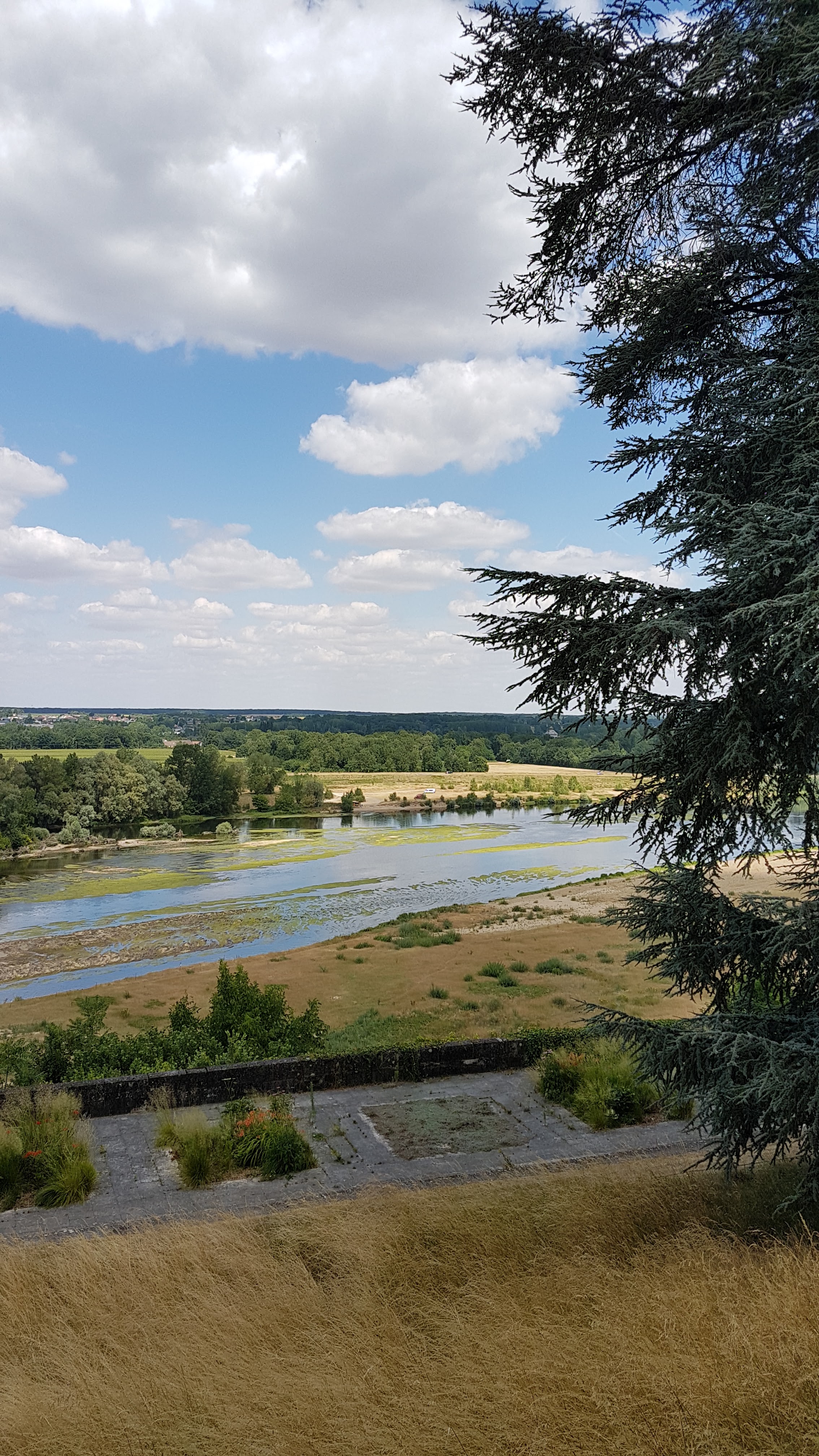 Photo n° 45 de l'avis de Jean.i fait le 13/07/2019 à 17:59