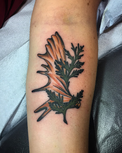 Explore lion tattoo ideas for guys, creative tattoo ideas in Houghton, available at Bramble & Stag Tattoo Parlour