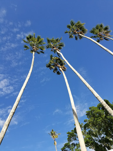 Historical Place «Burroughs Home & Gardens», reviews and photos, 2505 First St, Fort Myers, FL 33901, USA