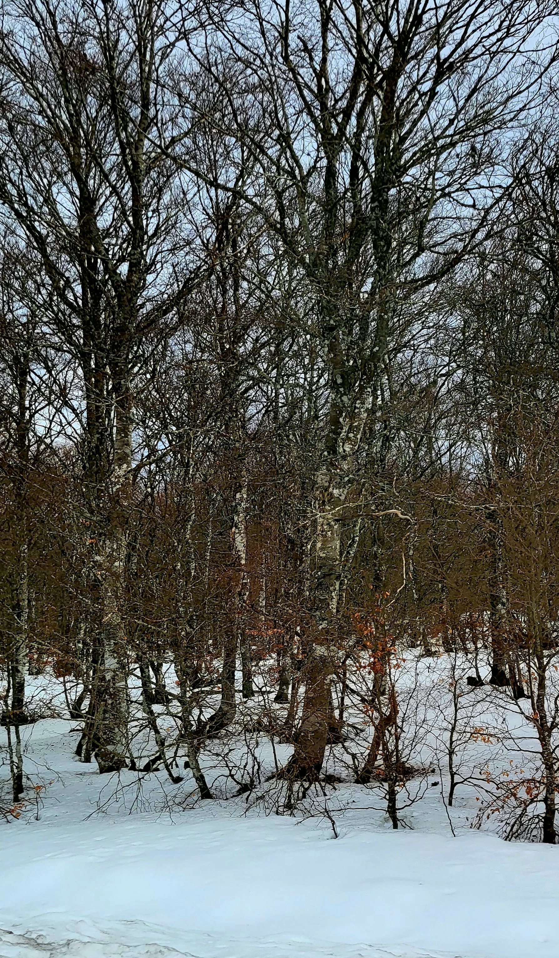 Photo n° 4 de l'avis de Stephane.t fait le 17/03/2024 à 15:46