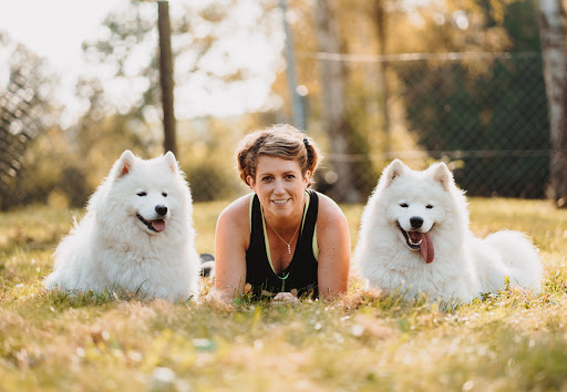 Samojeden Kennel Arctic White Cherry