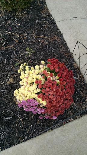 Winery «Hidden Lakes Winery», reviews and photos, 650 Winchester Pike, Canal Winchester, OH 43110, USA