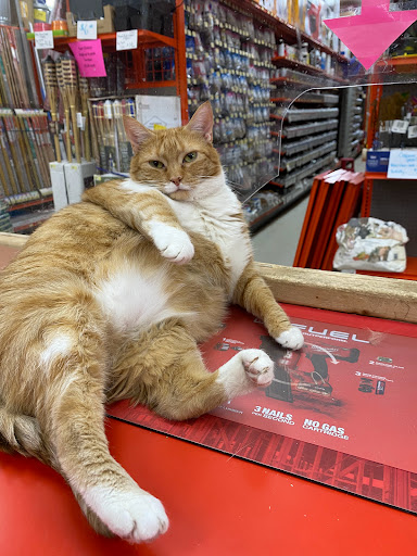 Lumber Store «West Point Do it Best Lumber», reviews and photos, 13501 Dixie Hwy, Valley Station, KY 40272, USA