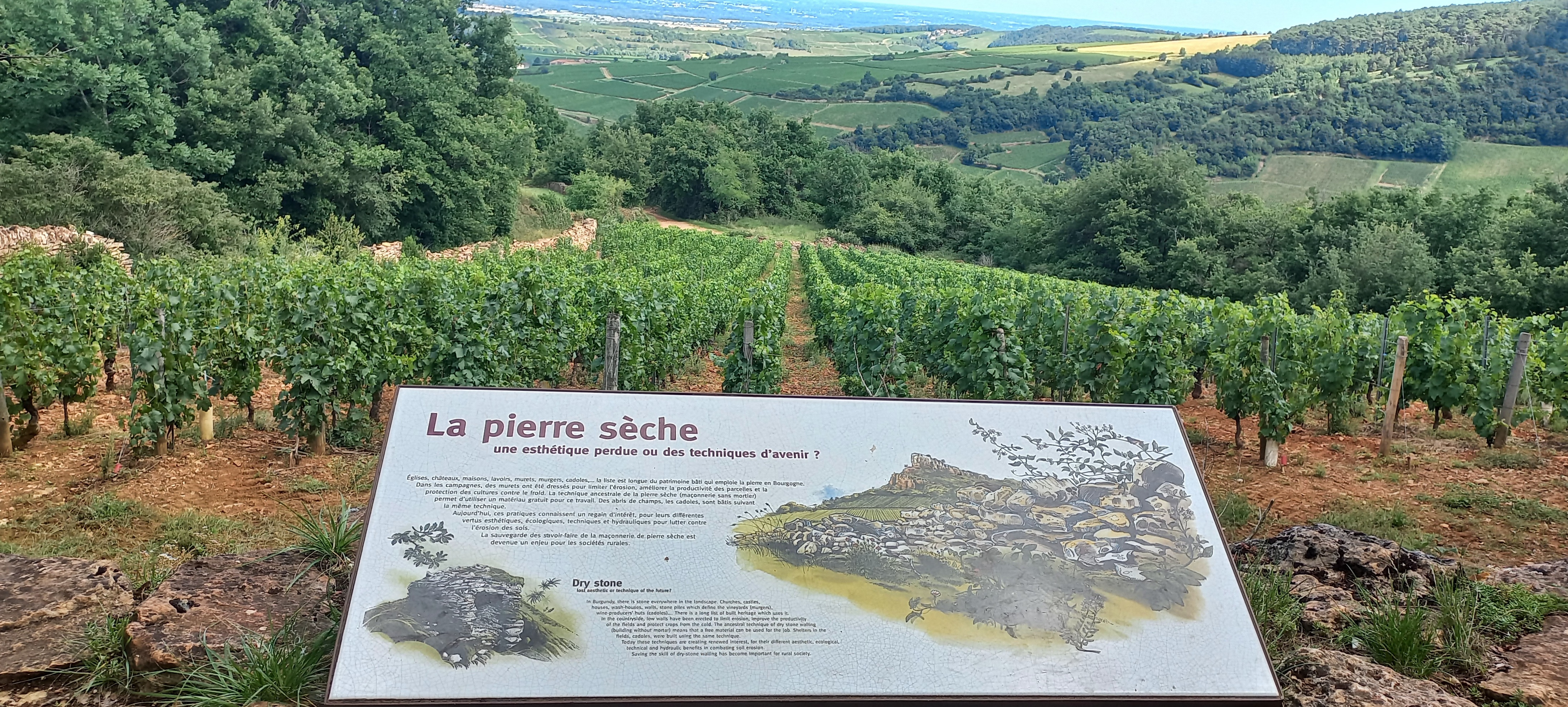Photo n° 16 de l'avis de Annick.h fait le 06/07/2022 à 19:32