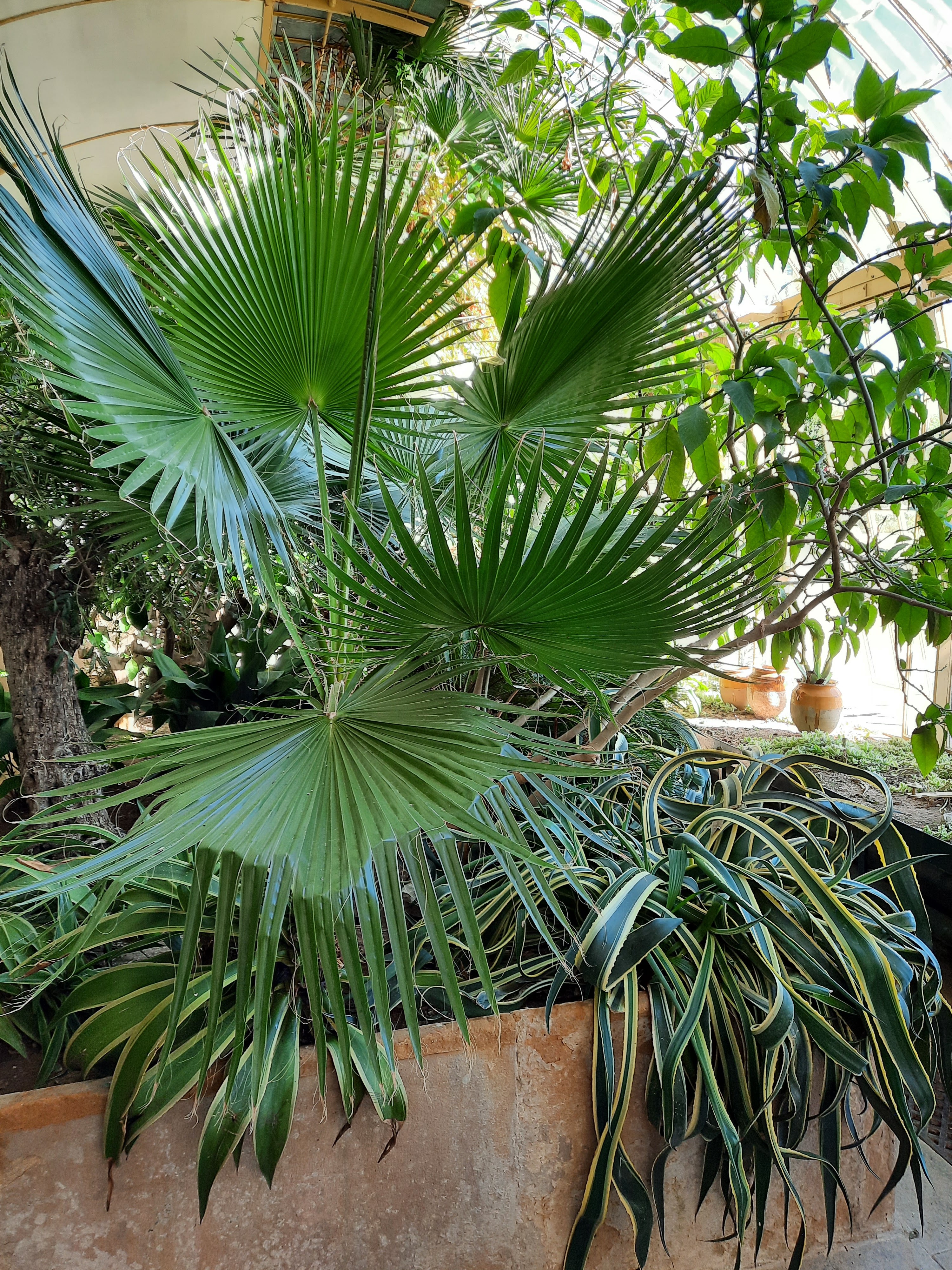 Photo n° 5 de l'avis de MARTIN.a fait le 01/10/2021 à 09:07