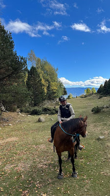 Nevada Mountain Paddock à Dorres