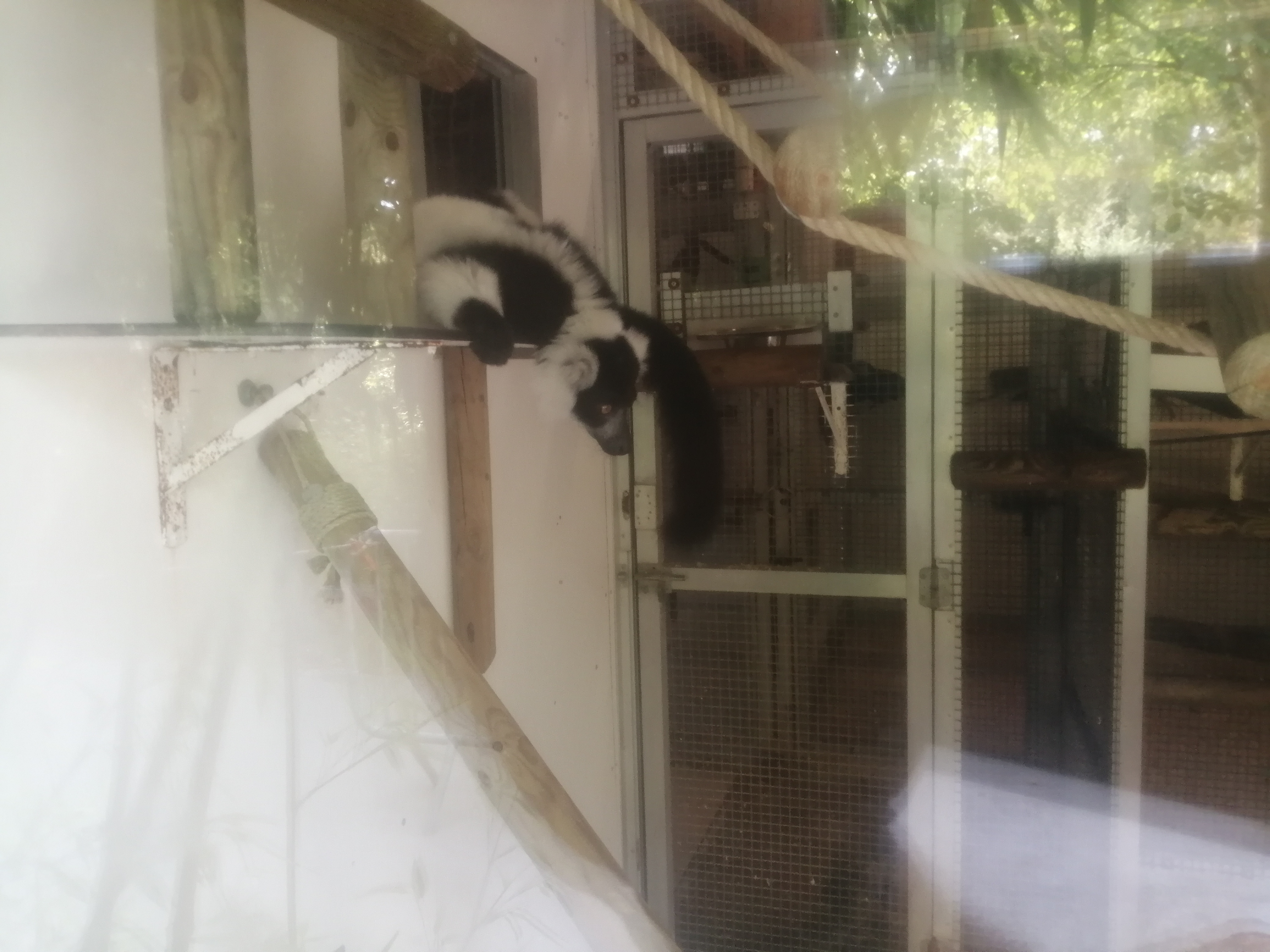 Photo n° 4 de l'avis de Paul.o fait le 08/08/2020 à 16:49