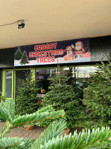 Crosby Christmas Trees - Shop