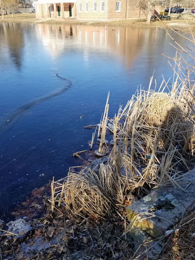 Zoo «Buttonwood Park Zoo», reviews and photos, 425 Hawthorn St, New Bedford, MA 02740, USA