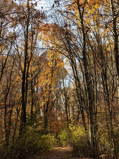 Park «Garfield Park», reviews and photos, Garfield St, Lexington, MA 02421, USA