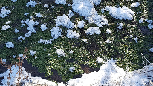 Park «Valley View Park», reviews and photos, 5575 Ozark Avenue North, Oak Park Heights, MN 55082, USA