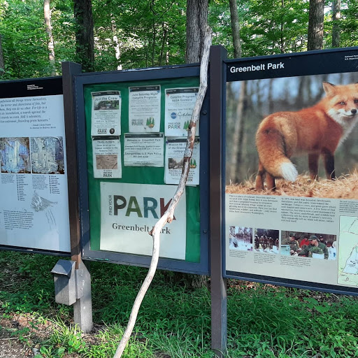 National Park «Greenbelt Park», reviews and photos, 6565 Greenbelt Rd, Greenbelt, MD 20770, USA