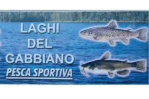 Lago Dei Gabbiani image