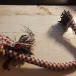 Photo n° 1 de l'avis de Ange.8 fait le 02/11/2023 à 20:35 pour AgroBiothers Lab à Cuisery