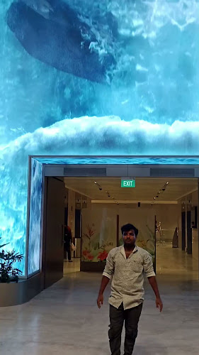 Comentarii opinii despre Natureland Changi Airport T2