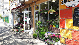 ФИОРЕ - Магазин за цветя
