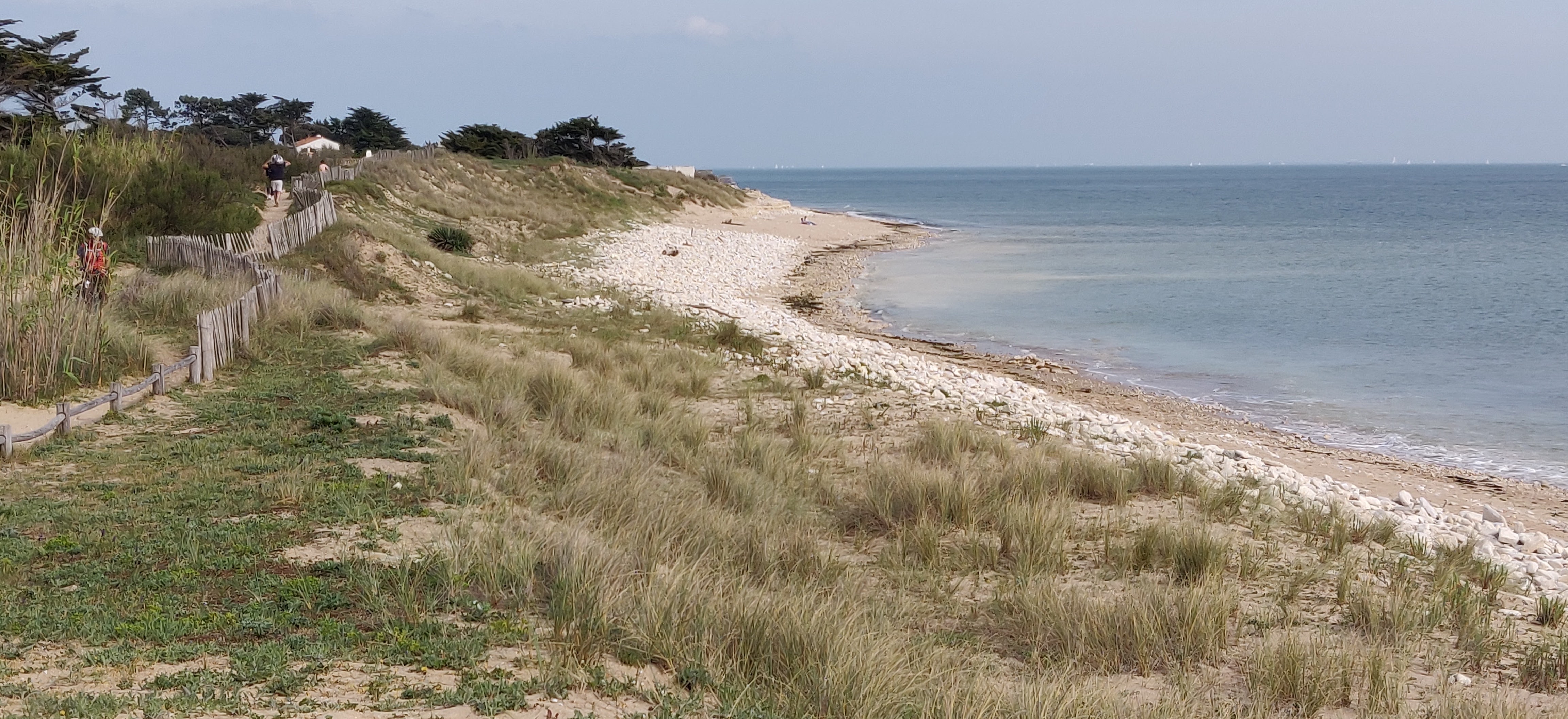 Photo n° 7 de l'avis de oc.e fait le 06/05/2022 à 16:44