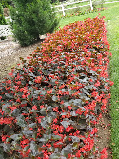 Grocery Store «Food Zone International Supermarket», reviews and photos, 355 Belmont Ave, Springfield, MA 01108, USA