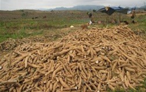 Top 3 cửa hàng bkav Huyện Tân Châu Tây Ninh 2022