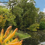 Photo n°1 de l'avis de Phoenix. fait le 25/10/2020 à 21:44 sur le  Hotel Schloss Wilkinghege à Münster