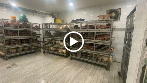 Grocery Store «Sandys Poultry Market», reviews and photos, 305 Madison Ave, Plainfield, NJ 07060, USA