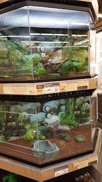 Petco - Photo 6 - Car repair in Cary, NC, Durham