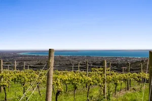 Blue Range Estate Wines image