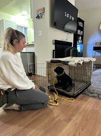 Empowered Dog Training