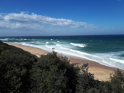 Foto di Shelly Beach con costa lunga e dritta