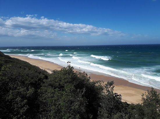 Shelly Beach