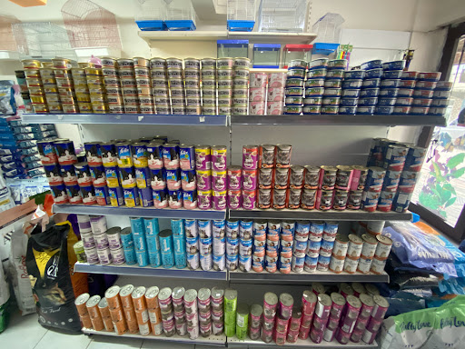 Doğuş Pet Shop & Akvaryum | Sultangazi İstanbul - Evcil hayvan mağazası